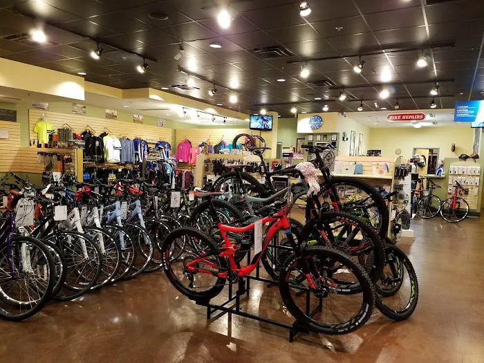 Trace Bikes Picture 9