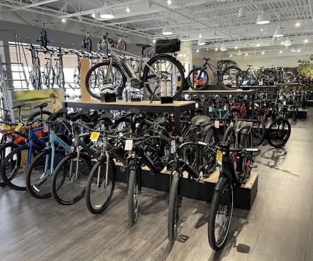Trek Bicycle Franklin