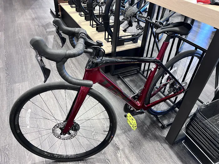 Trek Bicycle Franklin Picture 2