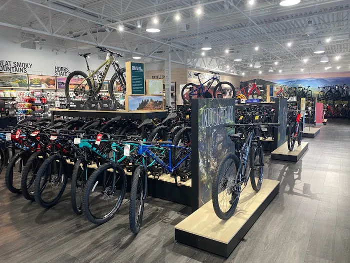 Trek Bicycle Franklin Picture 10