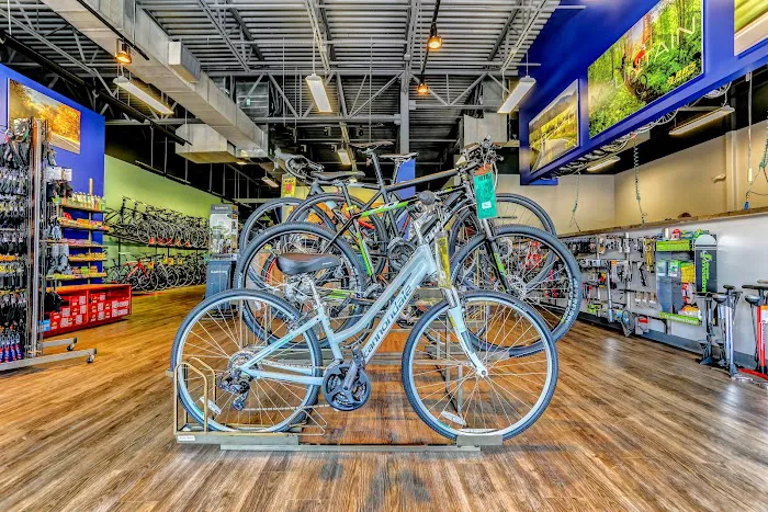 R.B.'s Cyclery Picture 4