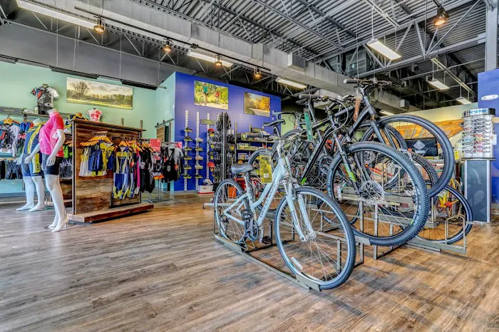 R.B.'s Cyclery Picture 6