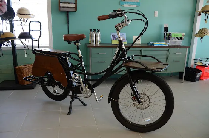 Pedego Franklin Picture 1