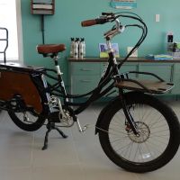 Pedego Franklin ico
