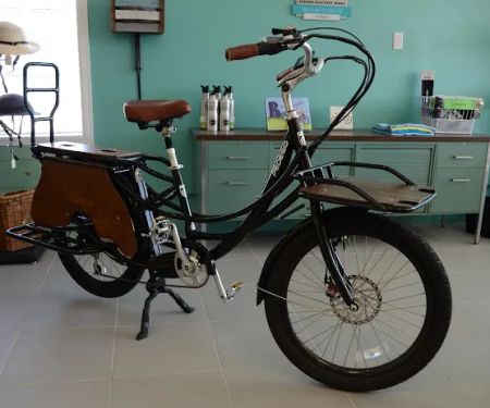Pedego Franklin