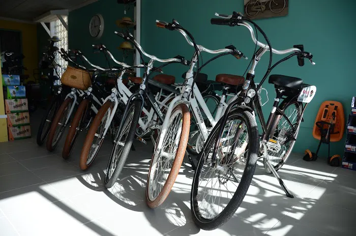 Pedego Franklin Picture 4