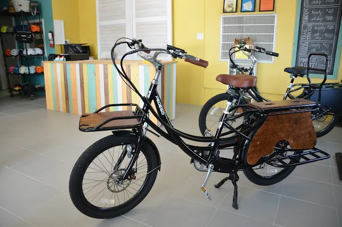 Pedego Franklin Picture 2