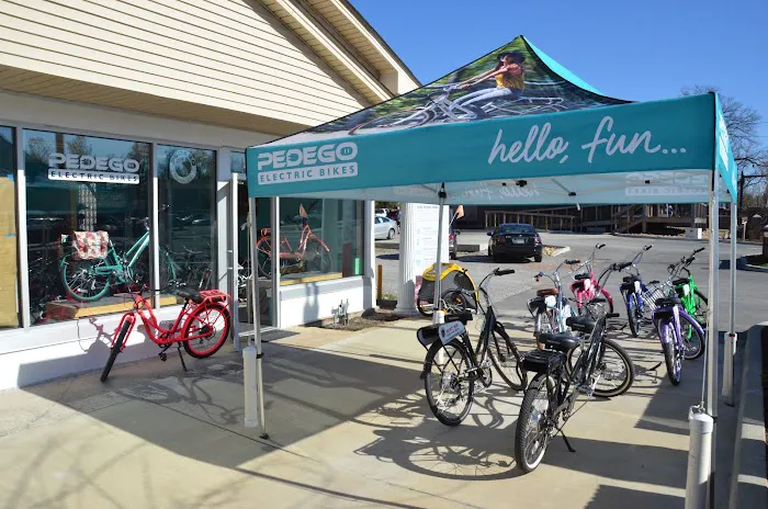 Pedego Franklin Picture 10