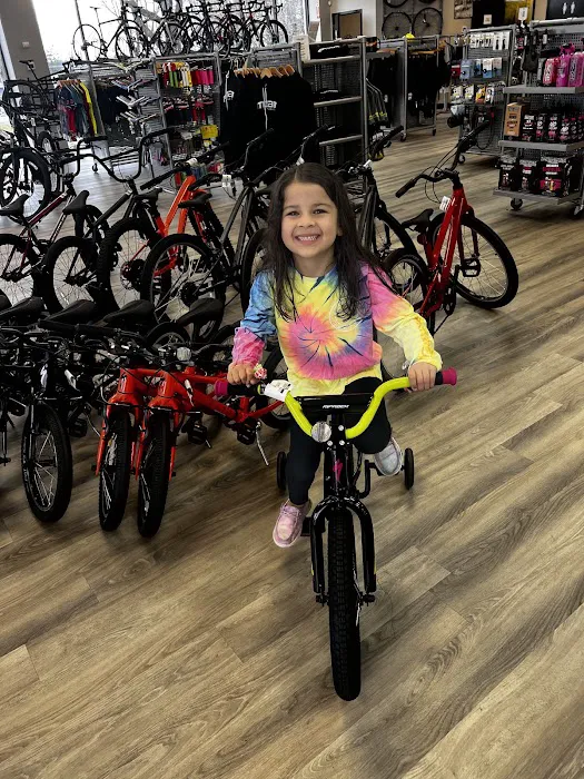 MOAB Bicycle Shop Picture 3
