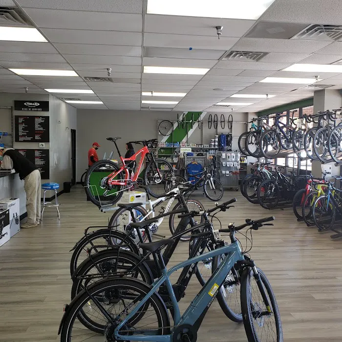 MOAB Bicycle Shop Picture 6