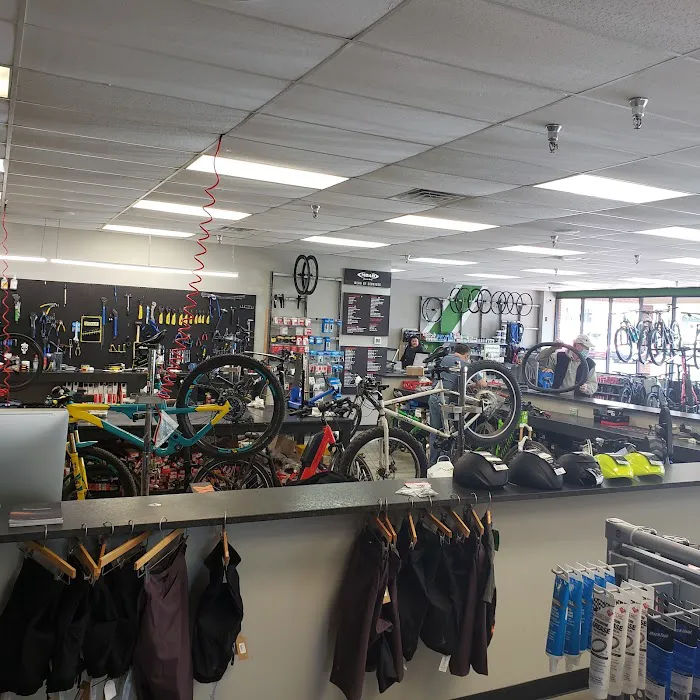 MOAB Bicycle Shop Picture 8