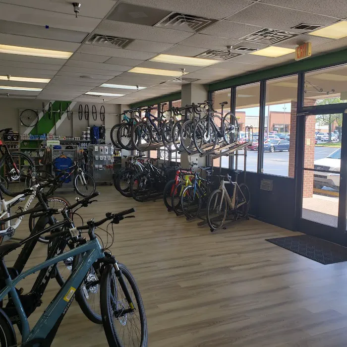 MOAB Bicycle Shop Picture 4