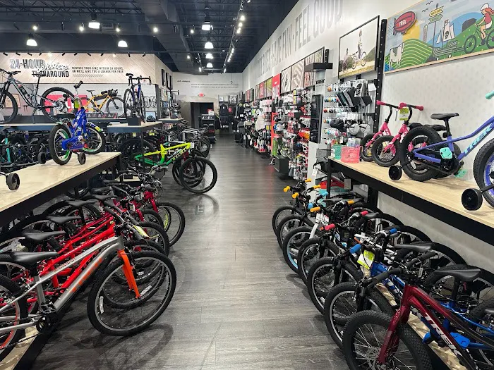 Trek Bicycle Murfreesboro Picture 7