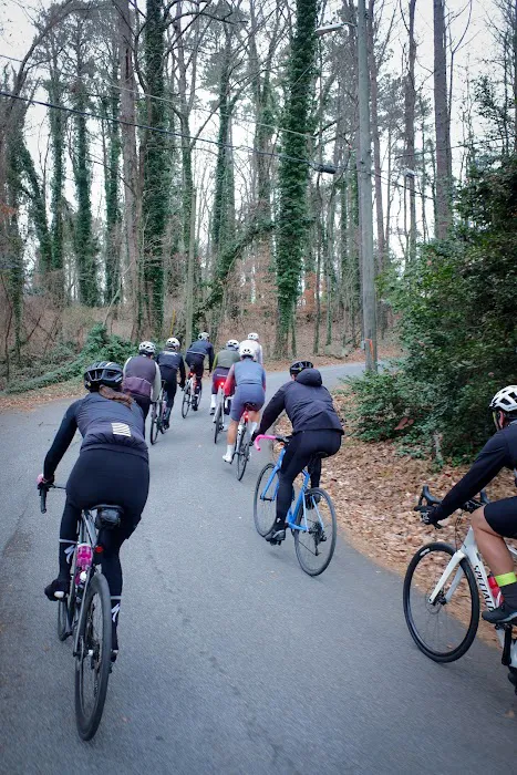 Specialized Atlanta Picture 7