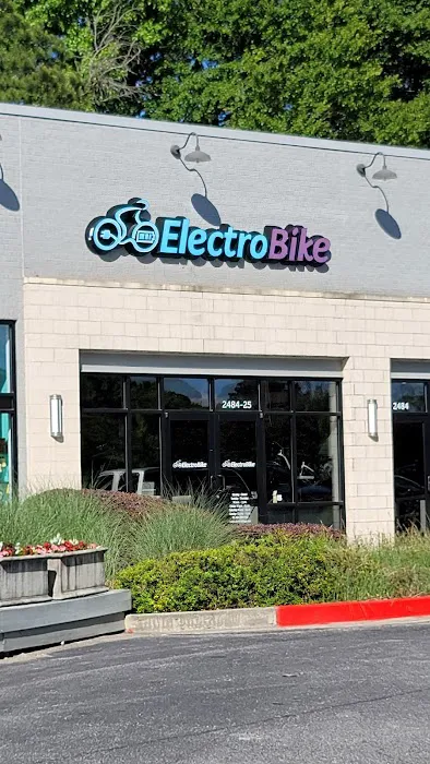 ElectroBike Georgia Picture 1
