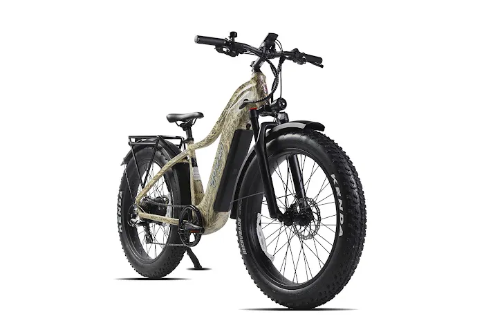 All Around E-Bikes, LLC Picture 6