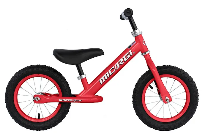 All Around E-Bikes, LLC Picture 8