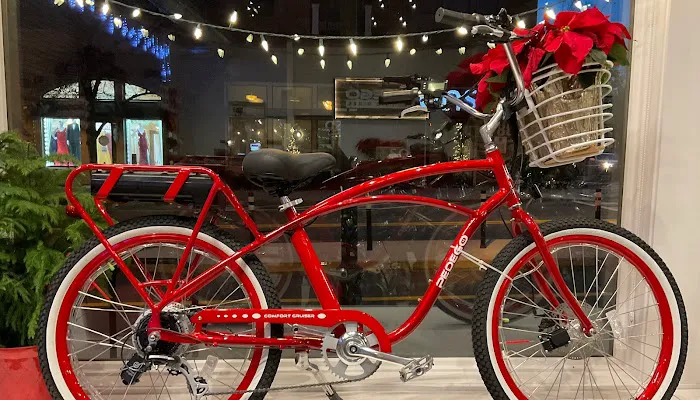 Pedego Electric Bikes Atlanta Picture 5