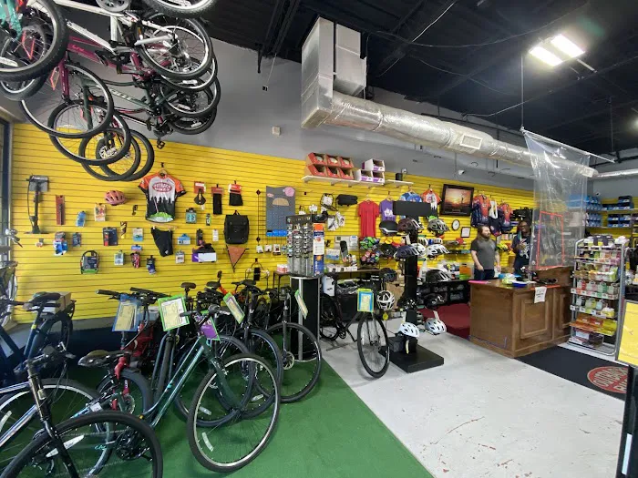 Outback Bikes Picture 3