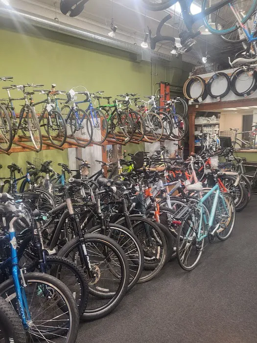 Intown Bicycles Picture 7