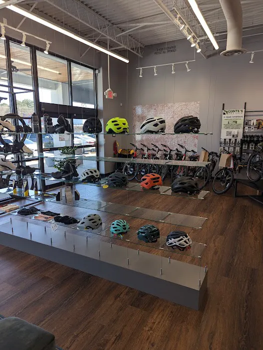 Conte's Bike Shop Picture 5