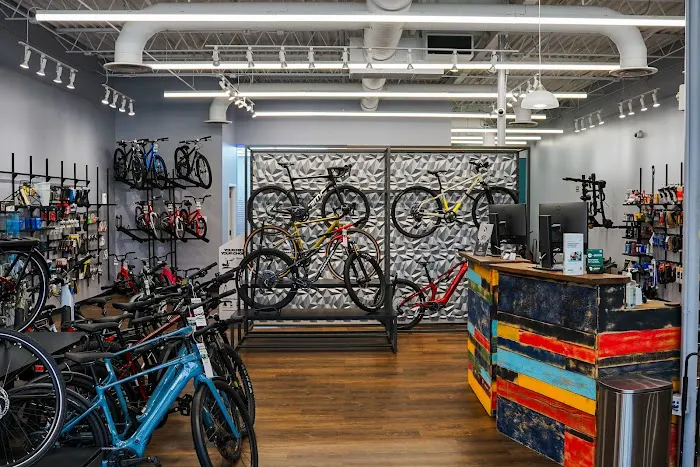 Conte's Bike Shop Picture 6