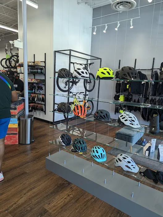 Conte's Bike Shop Picture 8