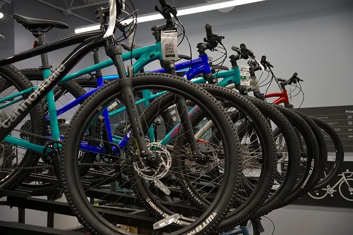 Conte's Bike Shop Picture 10