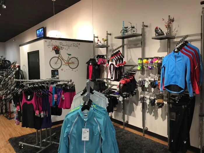 Free-Flite Bicycles Picture 7
