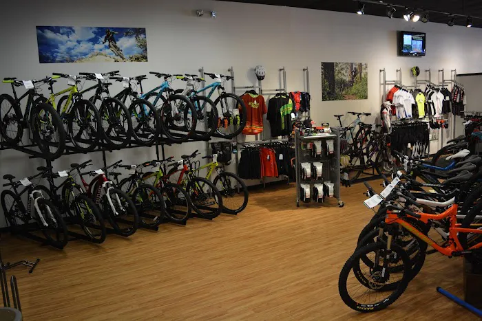 Free-Flite Bicycles Picture 8