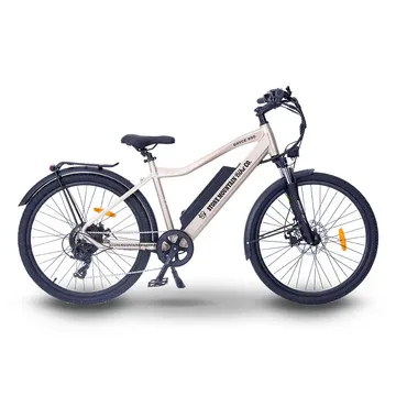 Stone Mountain Bike Company Picture 7