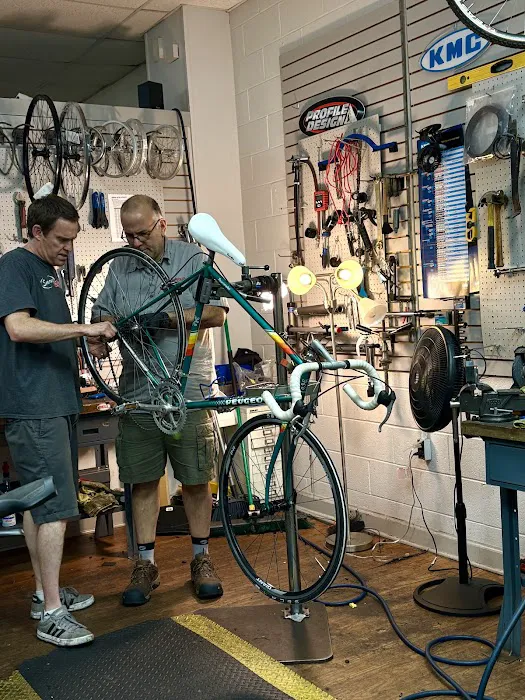 Smyrna Bicycle Picture 2