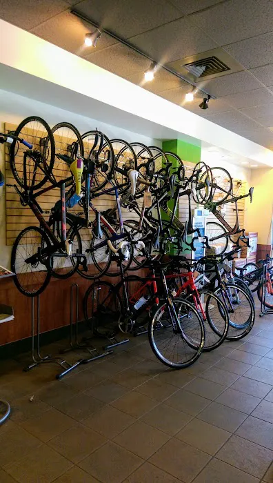 Smyrna Bicycle Picture 4