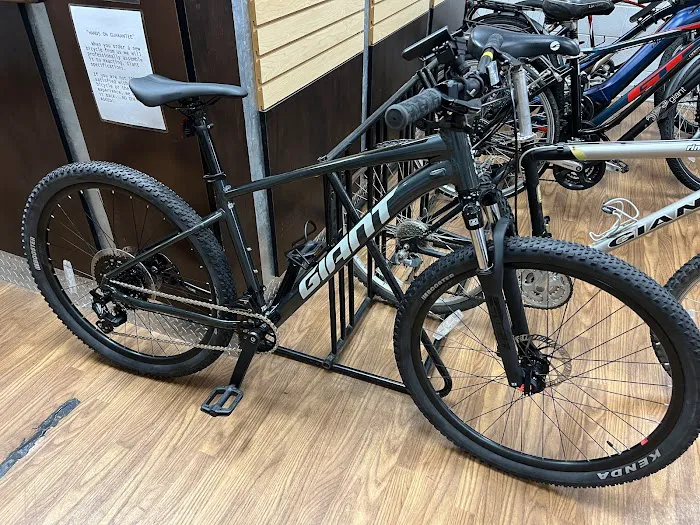 Smyrna Bicycle Picture 8