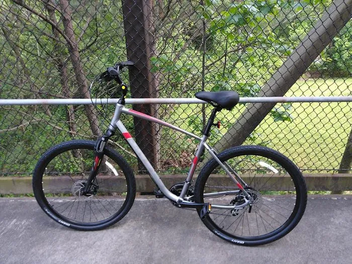 Smyrna Bicycle Picture 6