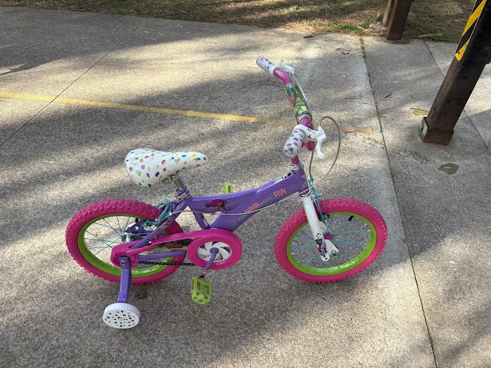 Smyrna Bicycle Picture 5