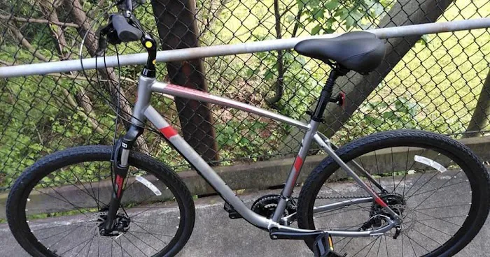 Smyrna Bicycle Picture 7