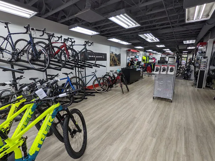 Free-Flite Bicycles Picture 7