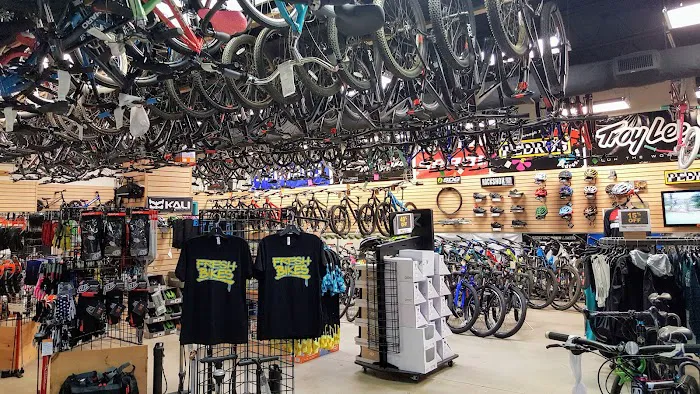 Fresh Bikes Picture 1