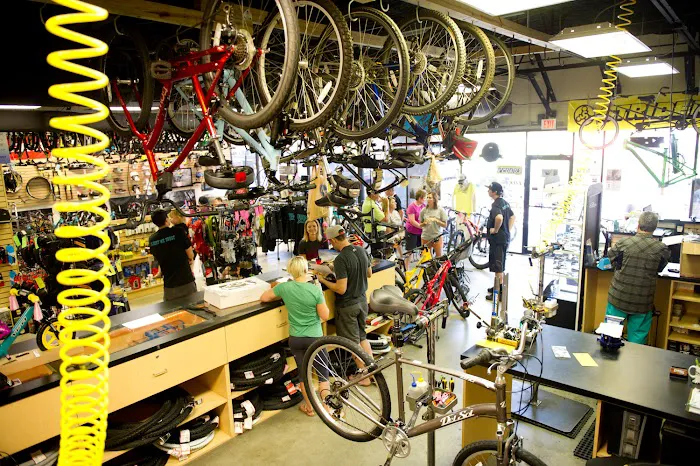 Fresh Bikes Picture 9