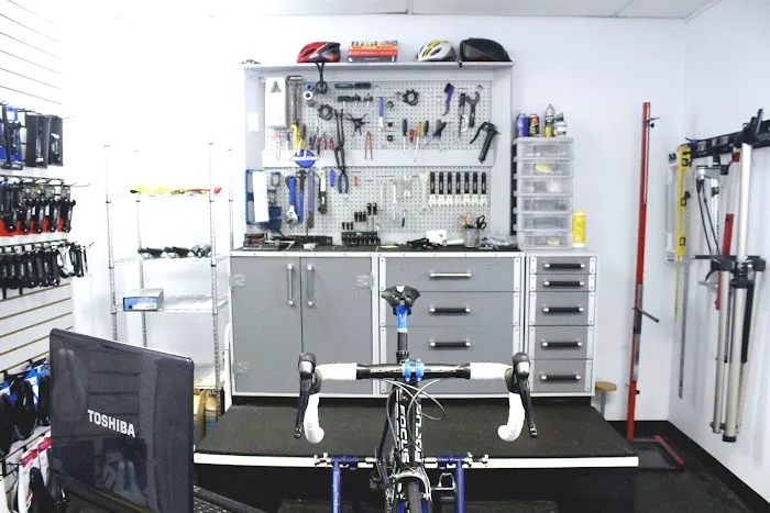 The Sport Factory Picture 7