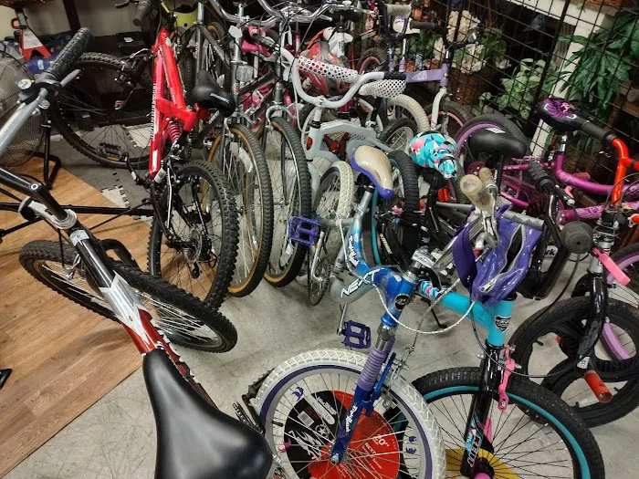 Les-Ride Bike shop Picture 5
