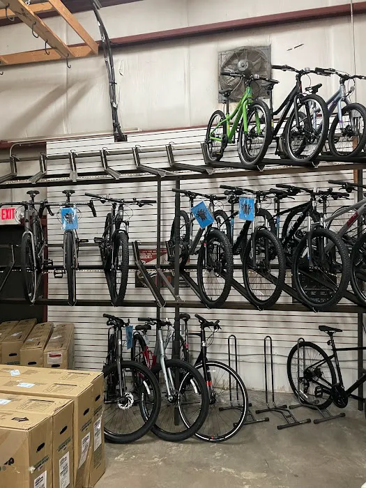 The Bicycle Doctor Picture 3