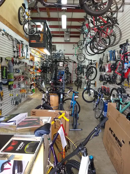 The Bicycle Doctor Picture 8