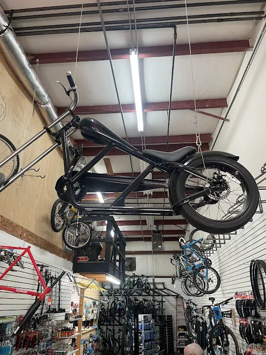 The Bicycle Doctor Picture 10