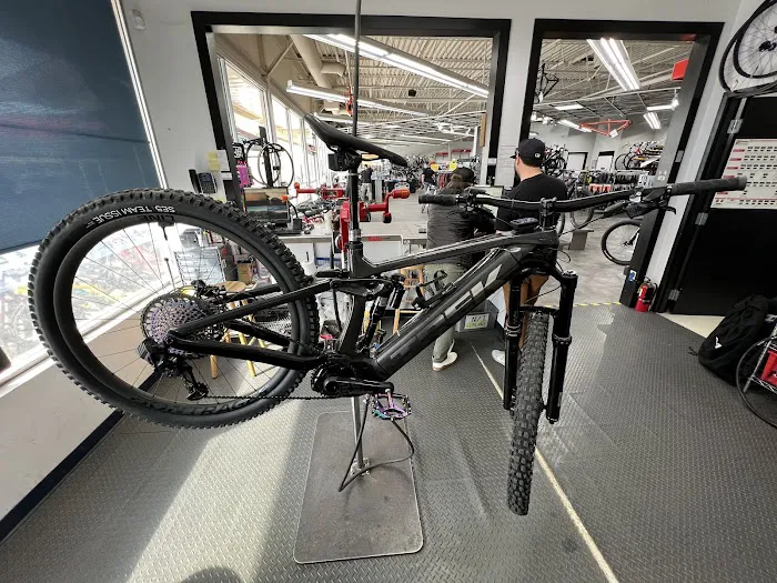 Free-Flite Bicycles Picture 3