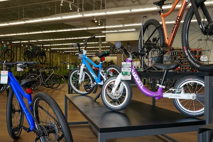 Conte's Bike Shop Picture 6