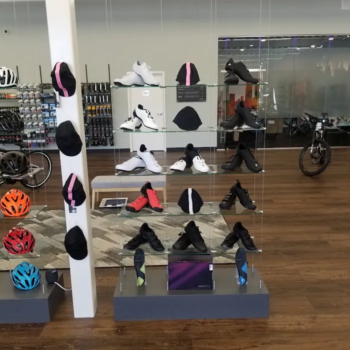 Conte's Bike Shop Picture 3