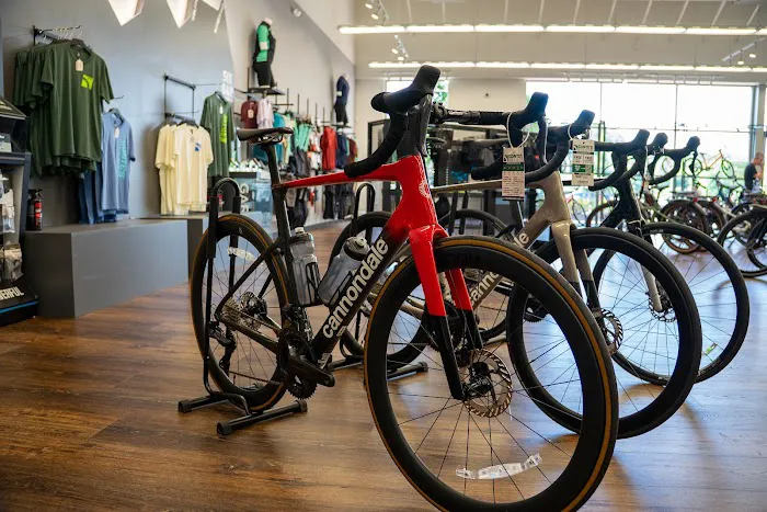 Conte's Bike Shop Picture 10