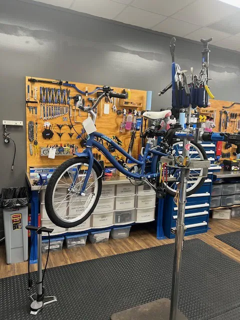 Cycology Bike Shop Picture 8